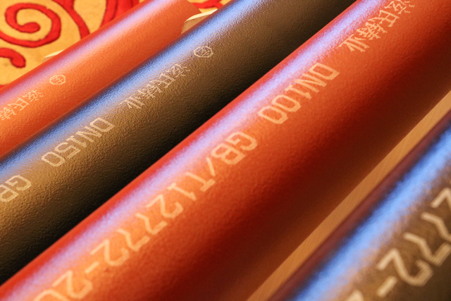 1493171318195729.jpg 12.jpg